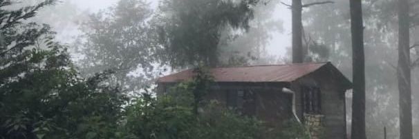 ♥BERTY✴ANGELES banner