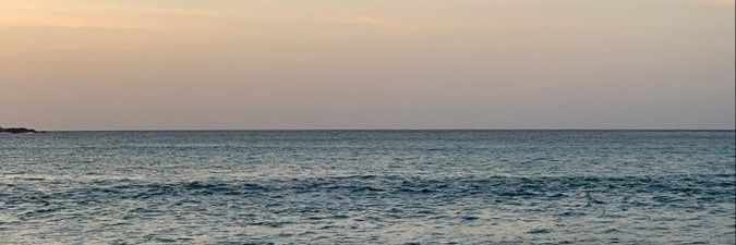 hhaamidee's profile banner image