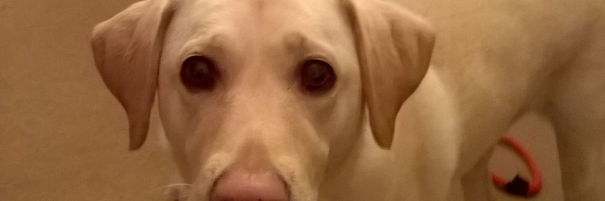 jess629_'s profile banner image