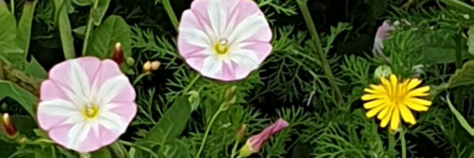 teresaxy61's profile banner image