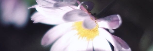 春待ち's banner