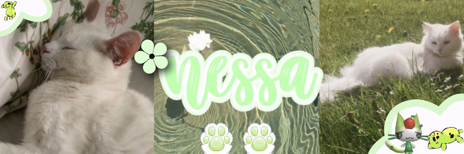 nessa banner