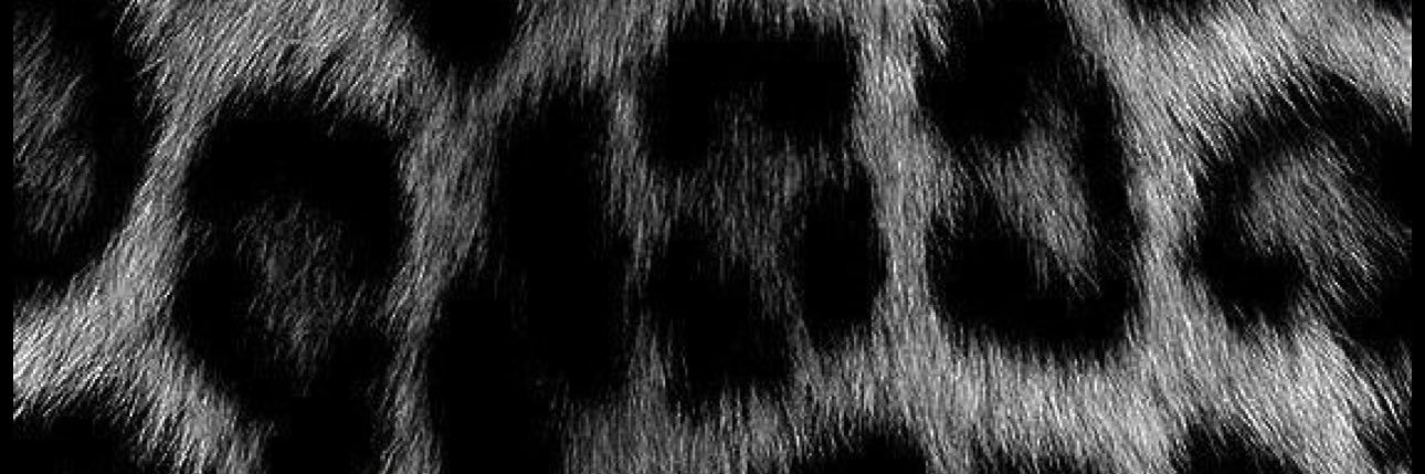 ash. banner