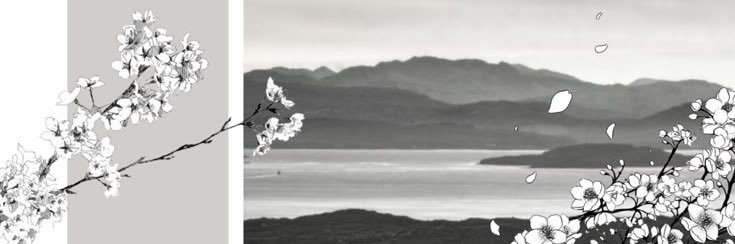 saph 🦇 banner
