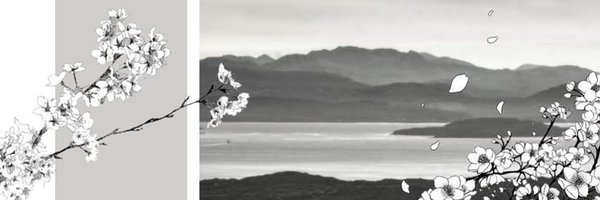 saphinical Profile Banner