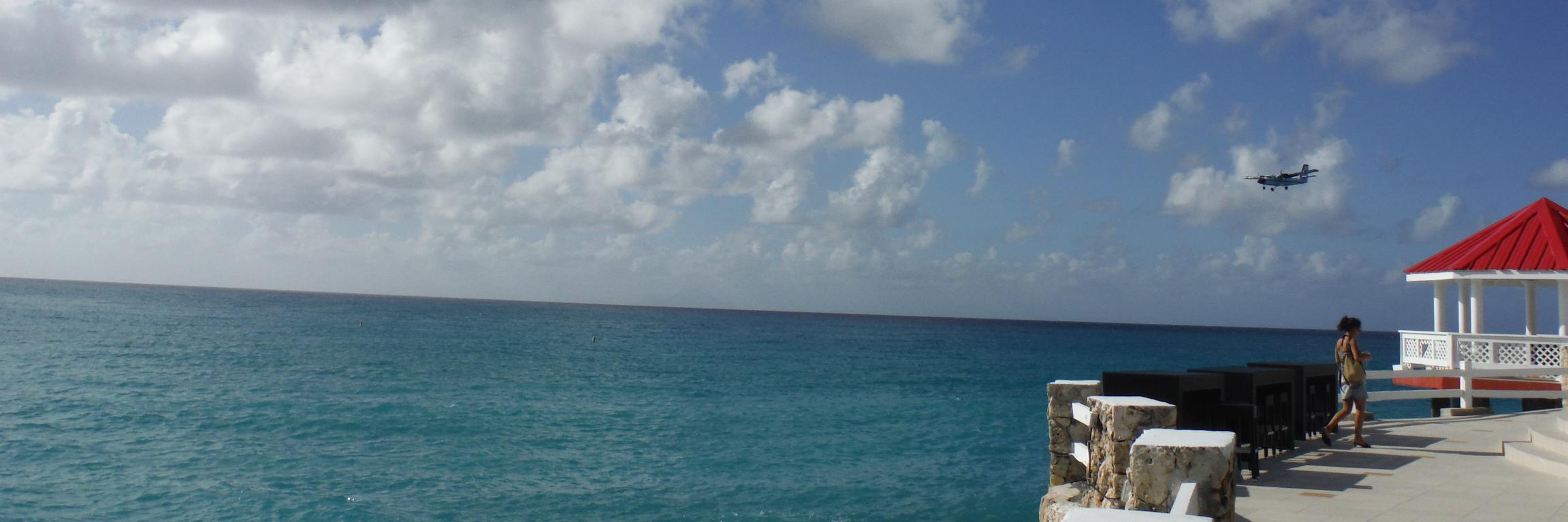 Sergio Carchedi banner