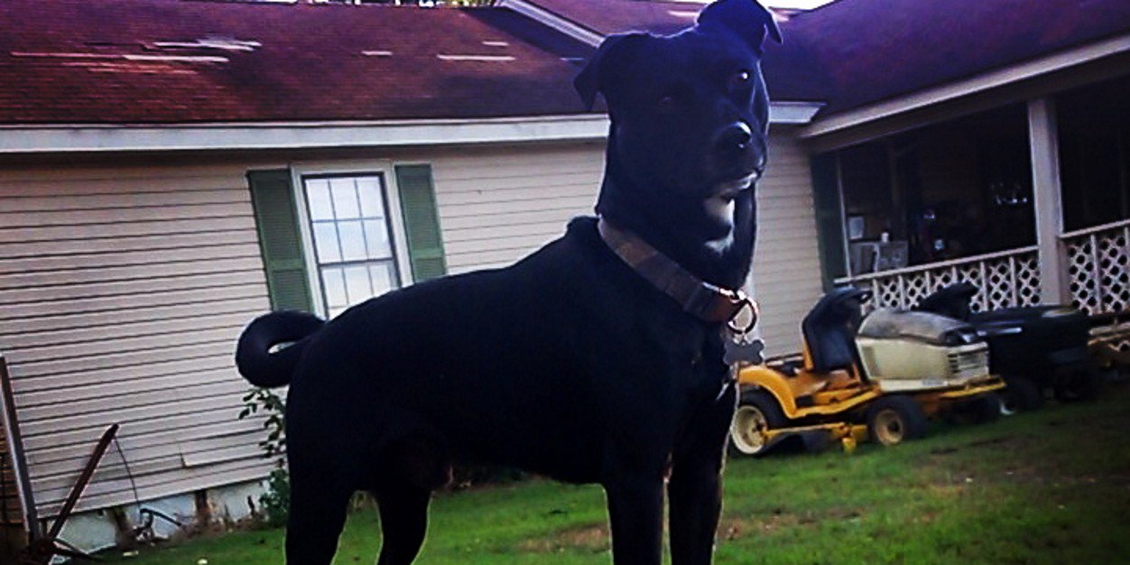 Haley_Brooke10's profile banner image