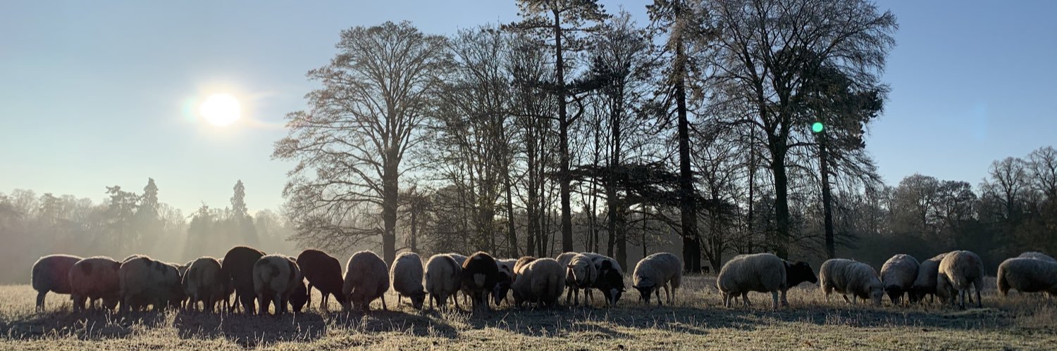 SHEPHERD KIT 💙 banner