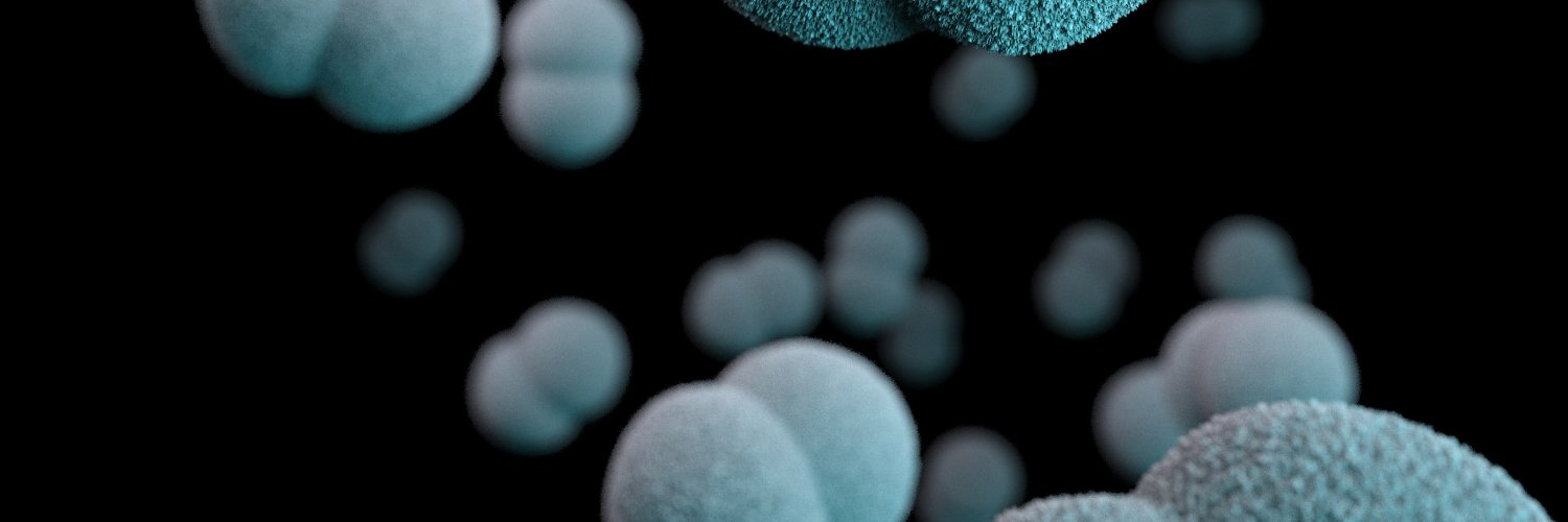 PHELN Public Health Ethics & Law Research Network banner