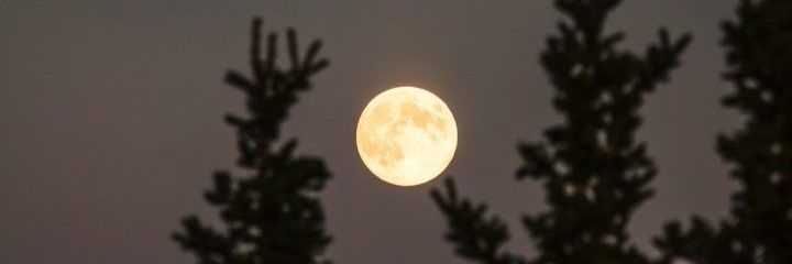 Pollux_Zs's profile banner image