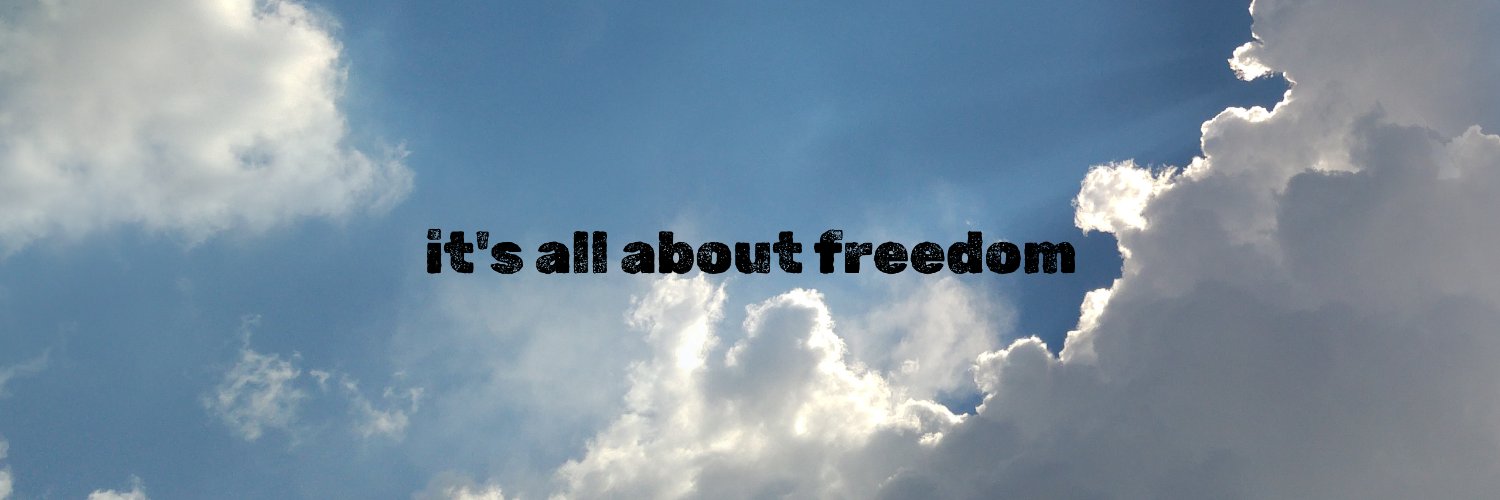 Roman The Free Man banner