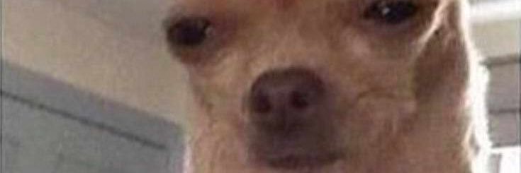 catherinegnz's profile banner image