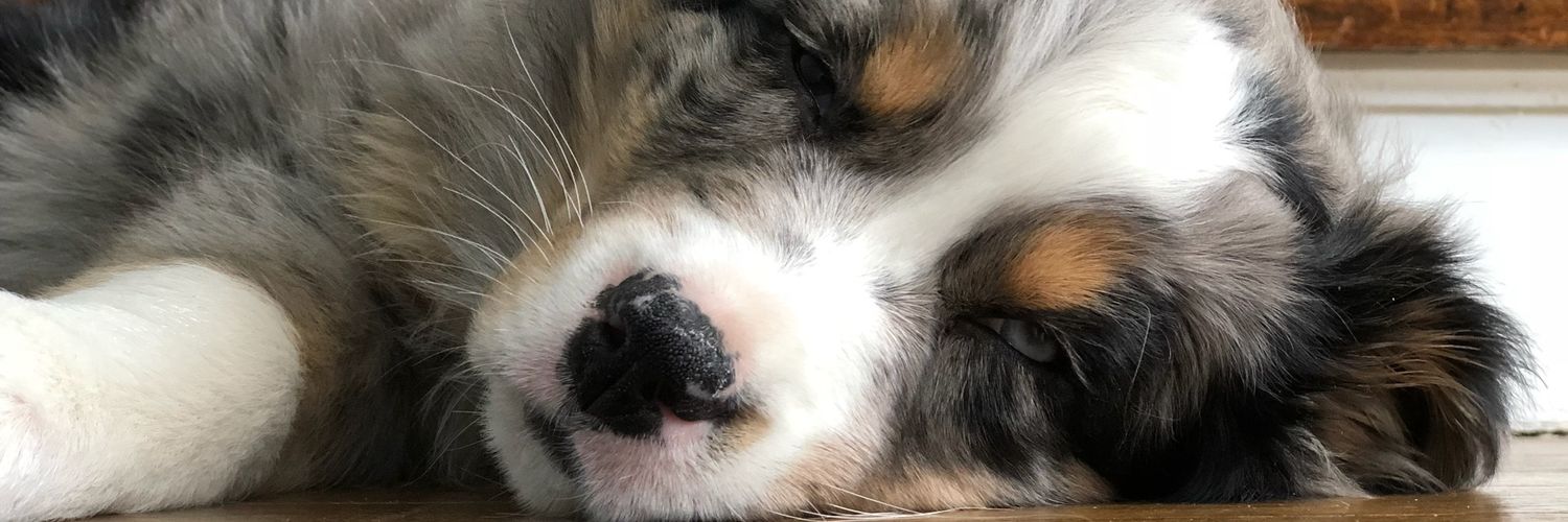 MEColley's profile banner image