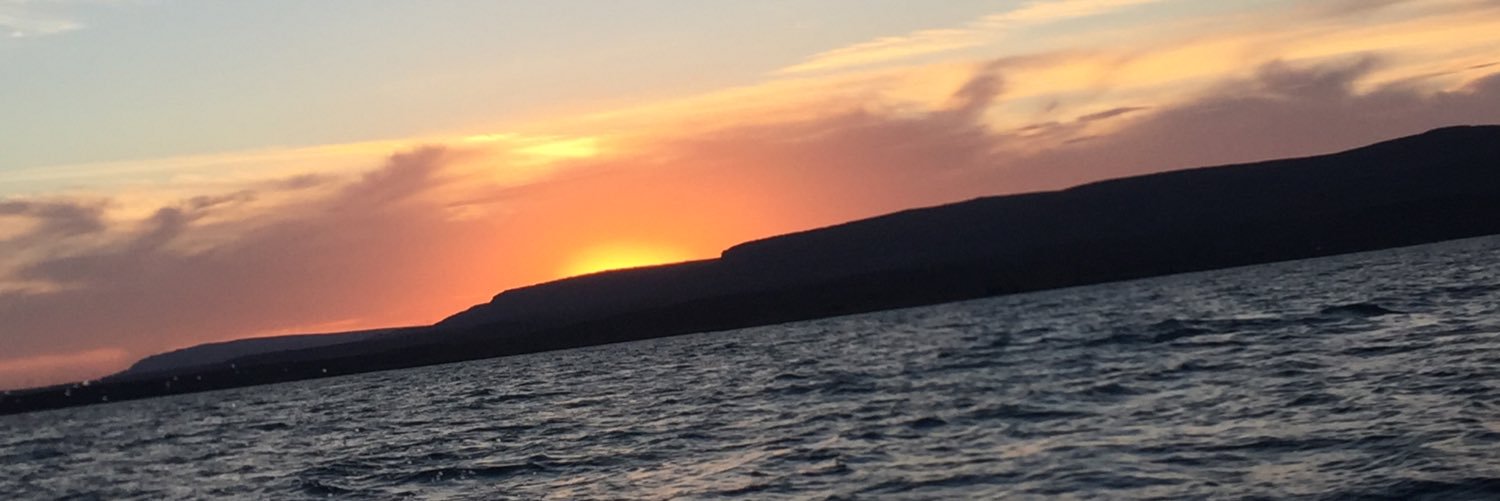 sAlejandra Aieta banner