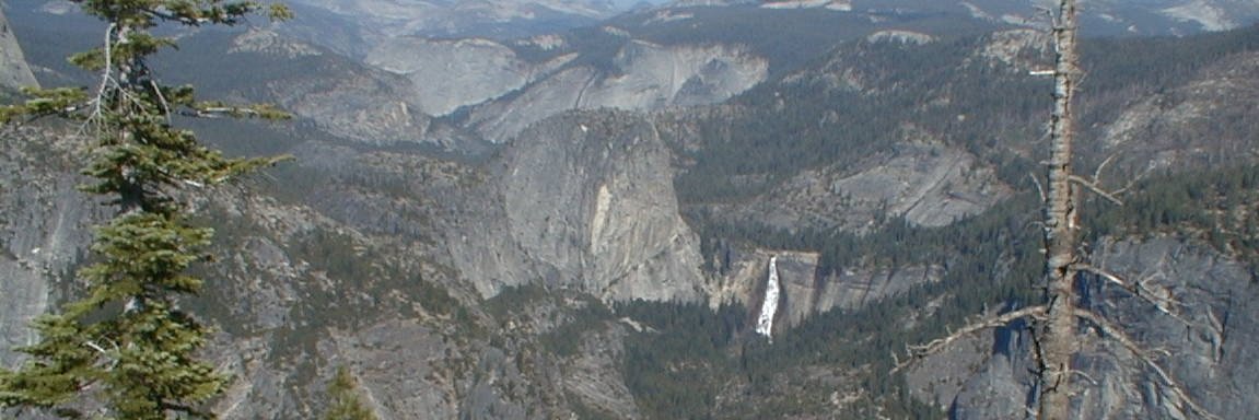 Mike banner