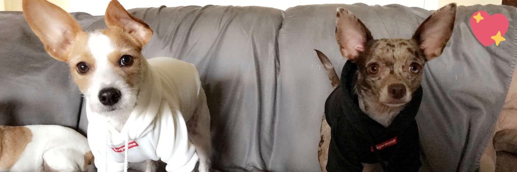 danielleet3's profile banner image
