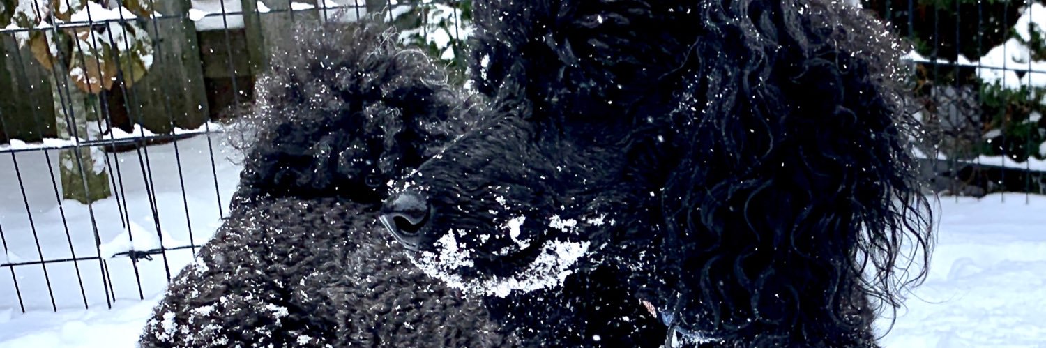 David Augustine banner