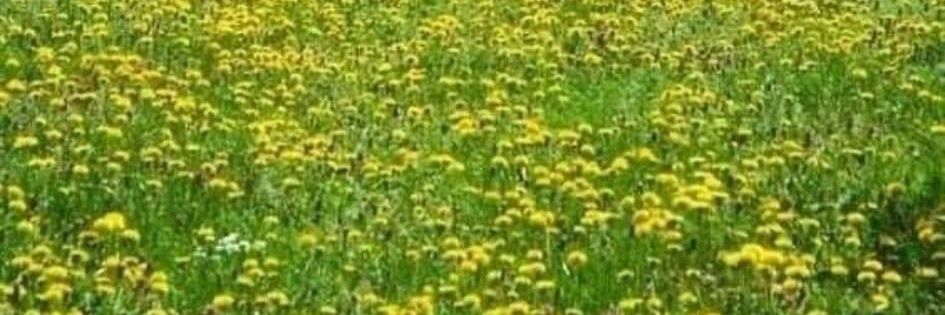 God's Gift for You banner