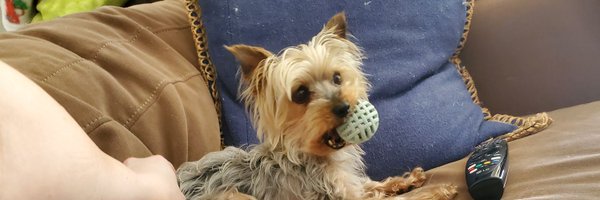 MarreeP Profile Banner