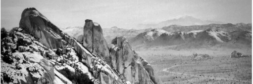 Venus DeMille banner
