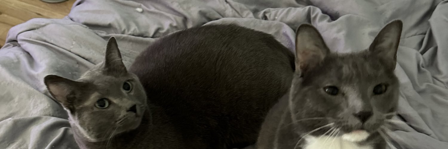 codystrosnider's profile banner image