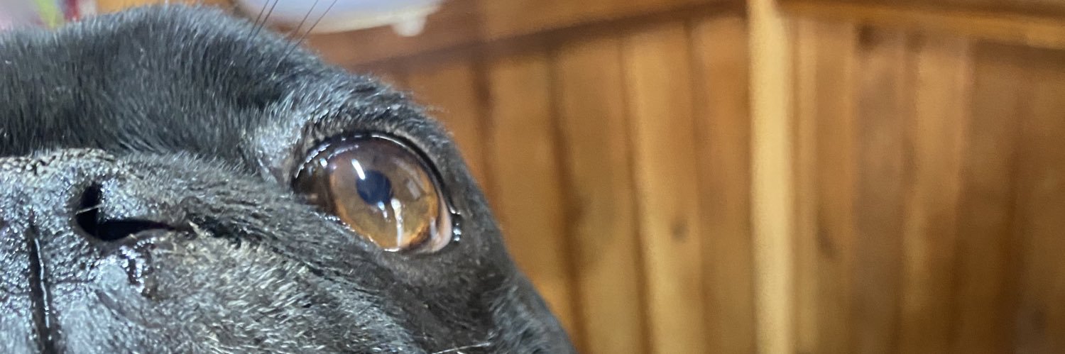 Gabs_227's profile banner image
