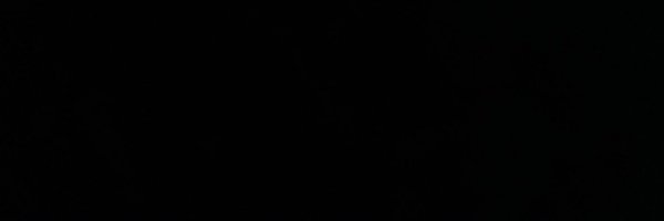 bambiesexiiv2 Profile Banner