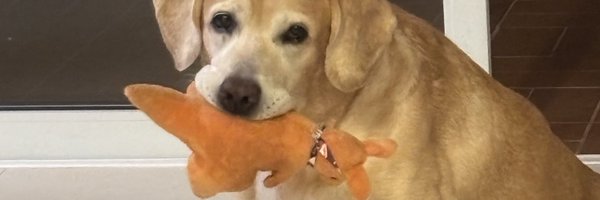 QueOrocha Profile Banner