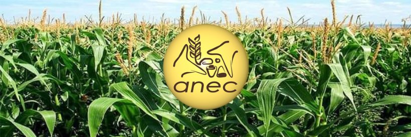 ANEC, A.C. banner