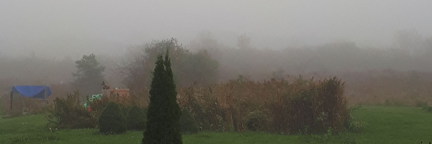 TylerHi76260745's profile banner image