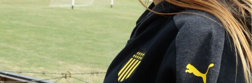 romibiagas's profile banner image