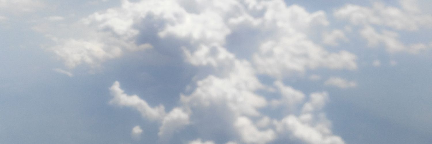 Tutu Reylop🇲🇽🦁 banner
