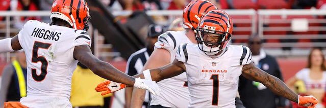 SSN - Cincinnati Bengals banner