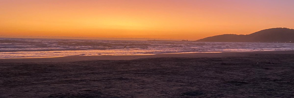 leticianf_0's profile banner image