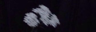 TASAP_Rocky's profile banner image