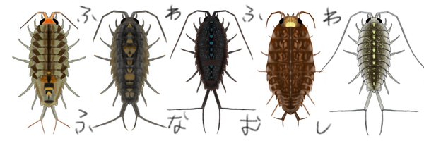 Ligiafuna Profile Banner