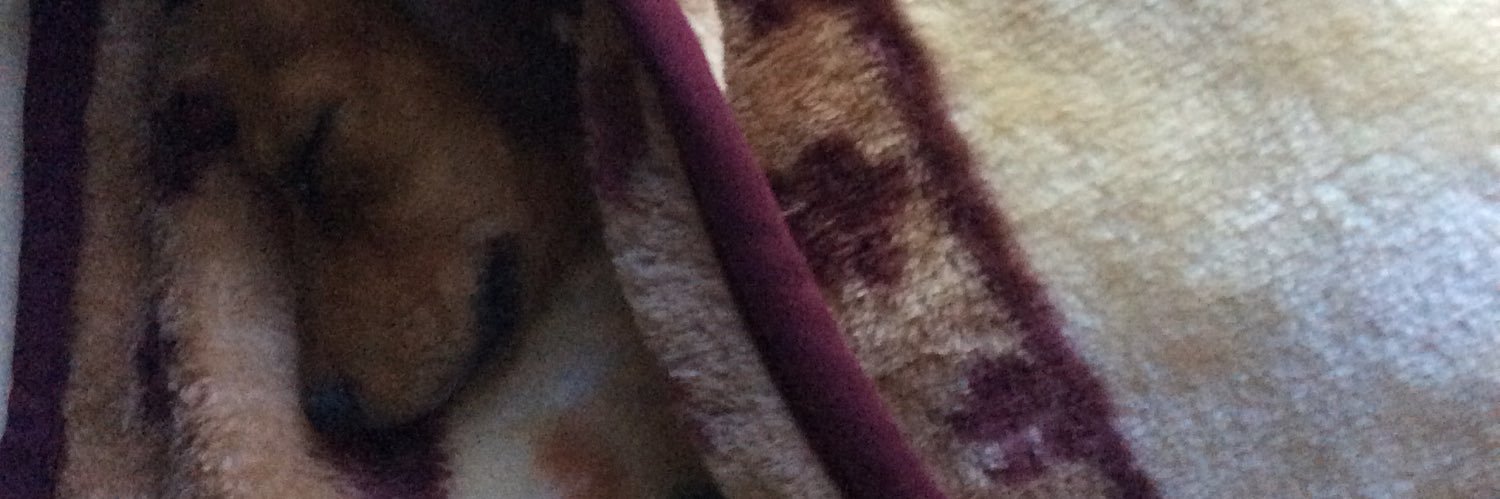 RubenOlachea's profile banner image
