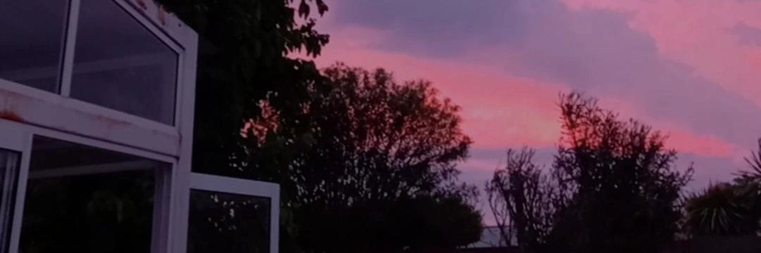 pricalderolli's profile banner image