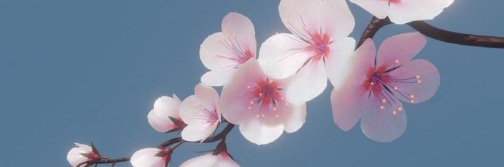 cherblossom_'s profile banner image