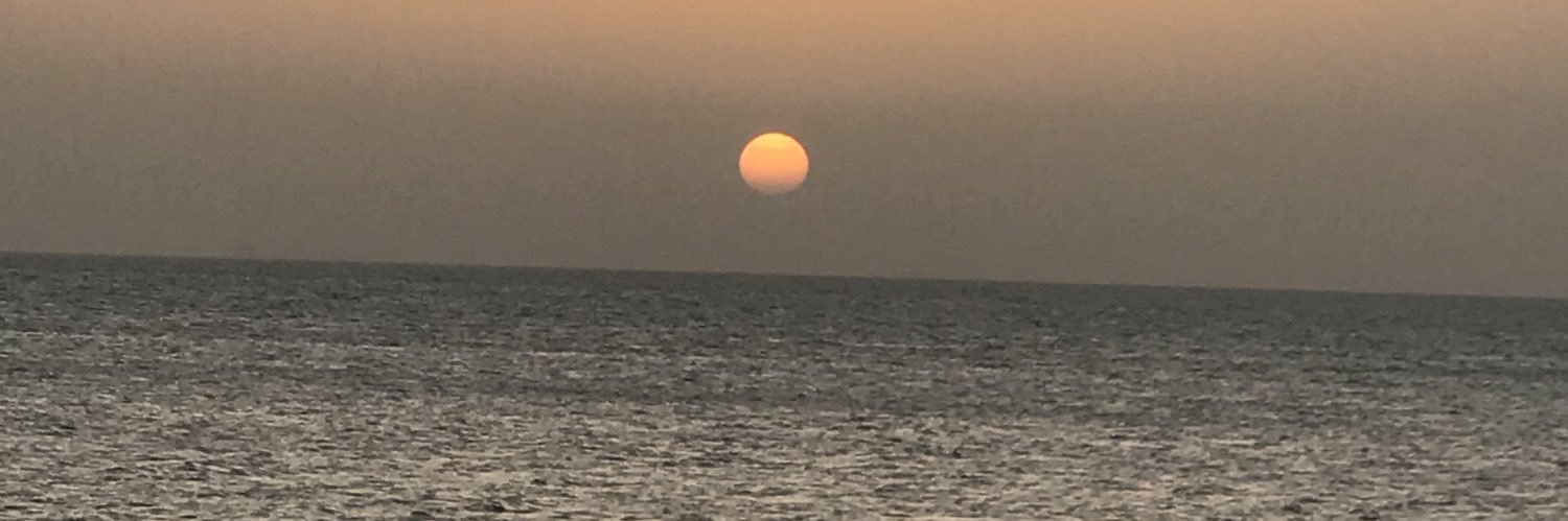 Diegoreyes65's profile banner image