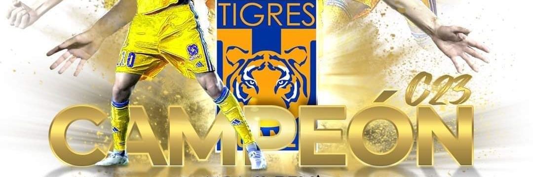 Tadeo 90 banner