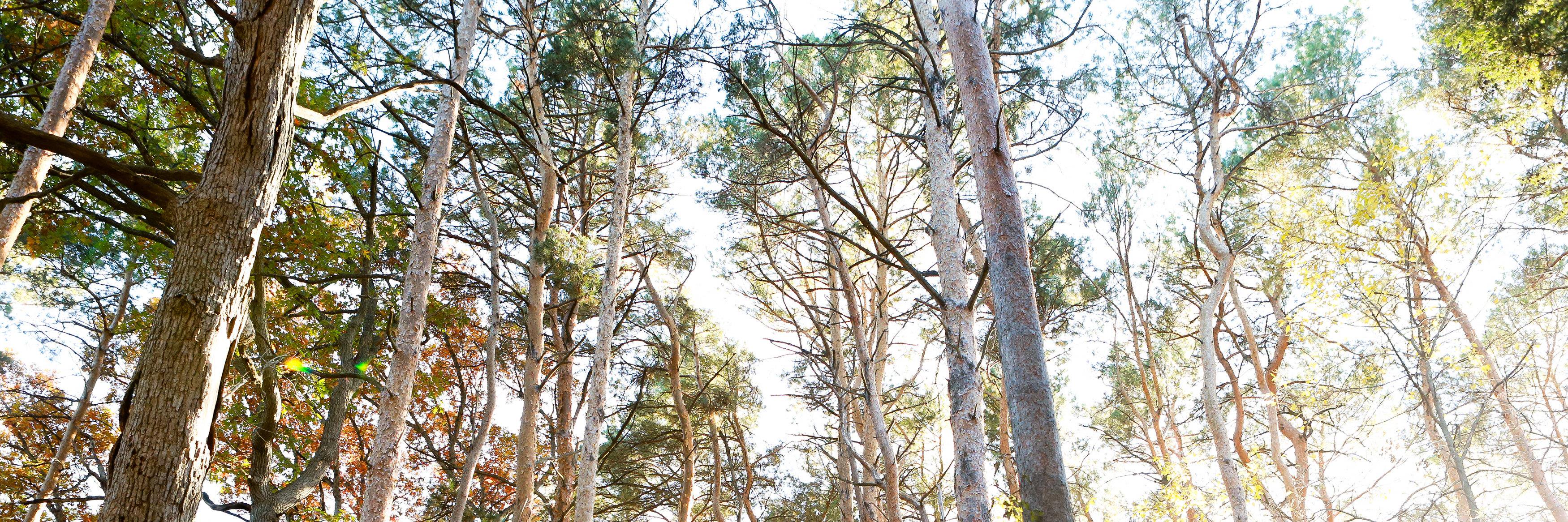 BecKaMeiser's profile banner image
