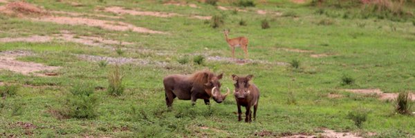 epthapha Profile Banner