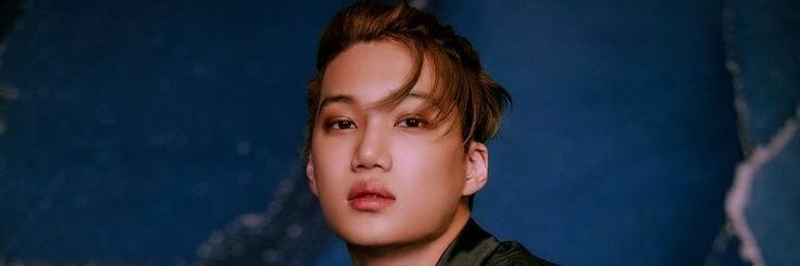 exoandkai's profile banner image