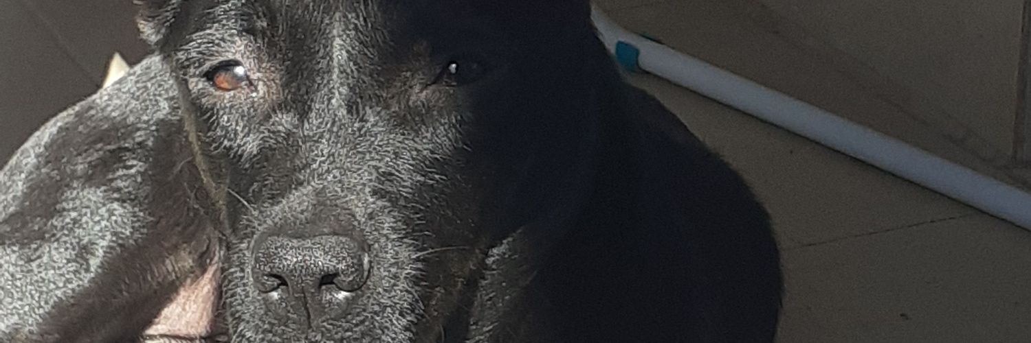 ximeruiz24's profile banner image