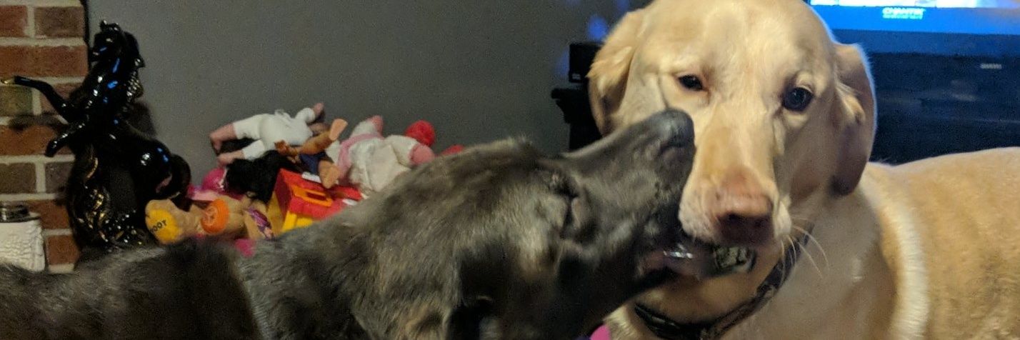 JerrySherrer's profile banner image