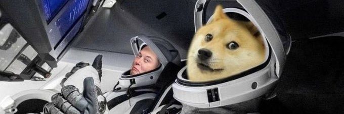 VTDogeForward's profile banner image