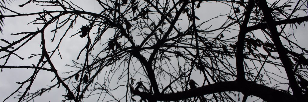 Nickolaj_'s profile banner image