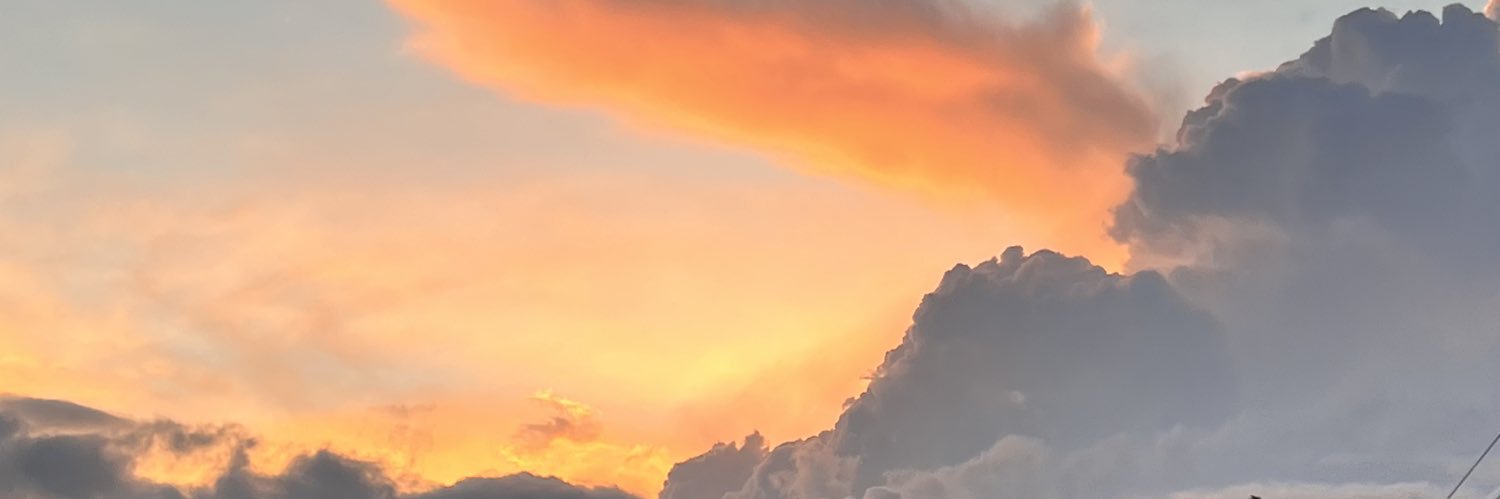 L_dany_prieto's profile banner image
