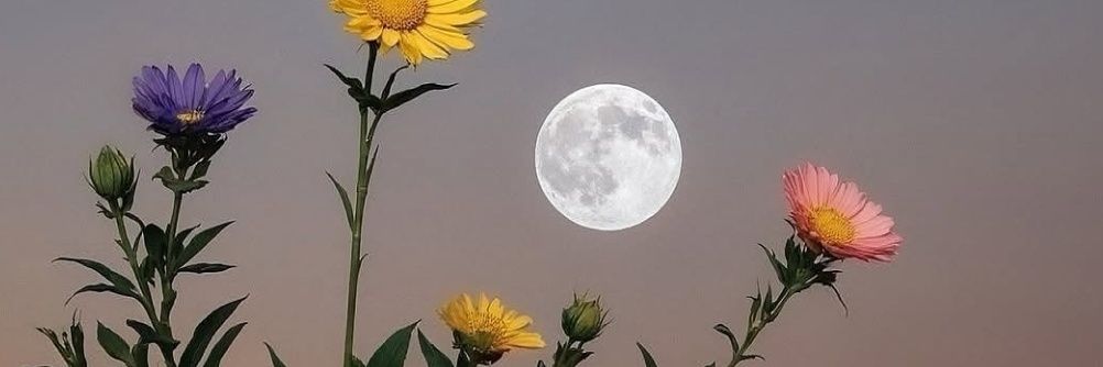 AMNA_366's profile banner image